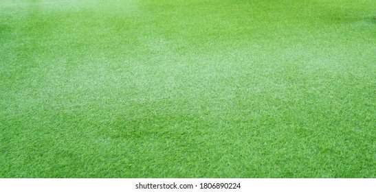 Top view of Artificial Grass or Artificial turf on playground at kindergarten school.banner background.Soccer or football field.Green meadow, Grass field background.