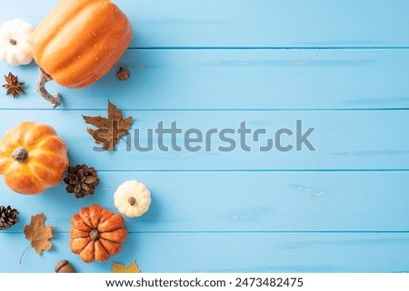 Top view of assorted autumn pumpkins, pinecones, and leaves on a blue wooden background. Ideal for seasonal and Thanksgiving themes