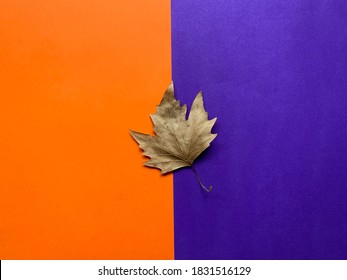 Top View Of Autumn Dry Leaf On A Orange And Purple Duotone Background