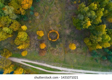 Top View Of The Autumn Park And Flower Bed. Aerial Photography In The Izmailovo Park.