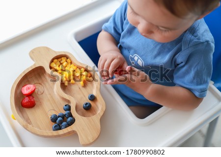 Top view Baby self-feeding with hand BLW or baby led weaning. Finger food mix fruit plate strawberry,blueberry and corn.infant boy eating healthy nutrition on high chair.mixed race Asian-German.