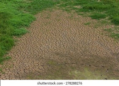 Top View Background Texture Of Dry, Cracked Earth With Grass Growing In Patches.