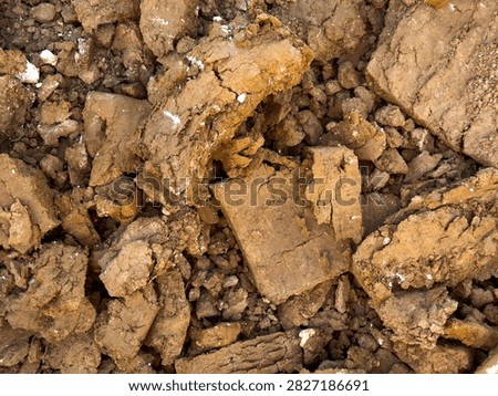 Top view background texture of dry brown clay soil and clods of earth