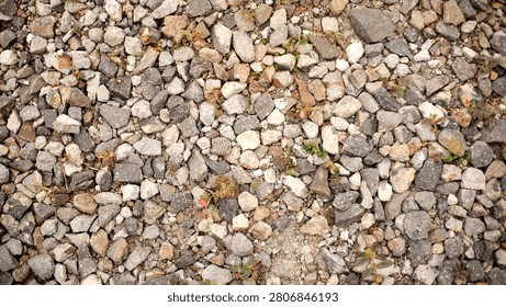 Top view background texture of numerous small natural pebbles and stones scattered on the ground.