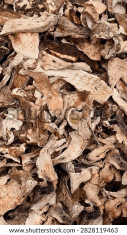 Top view background texture of organic dried porcini wild mushrooms slices
