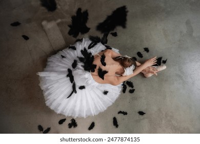 Top view of Ballerina portrays dying swan in the Swan Lake Ballet. Ballet dancer in pointe shoes lies on the floor among black fallen feathers. Talented theater actress. Shadow light interior. - Powered by Shutterstock