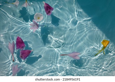 Top View Of Bath Filled With Flowers Spa Or Selfcare Concept