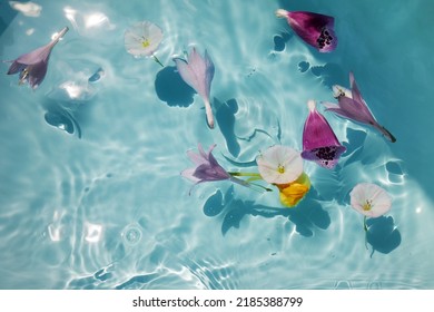 Top View Of Bath Filled With Flowers Spa Or Selfcare Concept