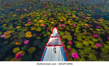 Top view beautiful green nature scenic panorama landscape red lotus flower blooming on lake, Boat for
tourist travel Phatthalung Thailand summer holiday vacation trips, Tourism destination place Asia