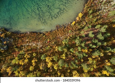 Top view of the beautiful lake among the autumn forests with bright trees in the mountains. Abstract aerial photography of a landscape in the north in the form of a texture and a map of the earth