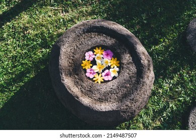 Top View Of Big Stone With Colorful Tropical Flowers In Hole On Green Grass. Meadow On Yard Or Garden In Warm Sunny Summer Day. Beautiful Nature. No People. Bali Island