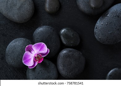 Top View Of Black Massage Stones On Blackboard With Single Purple Orchid. High Angle View Of Pink Orchid Flower On Wet Hot Stones Therapy. Lastone Treatment And Luxury Spa Concept.