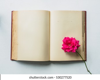 Top View Blank Open Book With Pink Rose Flower On White Desk, Love Story Concept