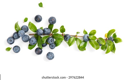 Top view of blueberries with green leaves  isolated on white background
