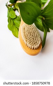 Top View Of Body Brush And Green Leaf On The White Surface. Vertical Photo