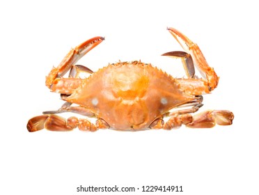 Top view of the boiled crab on a white background
