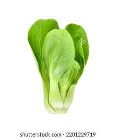 Top view bok choy vegetable isolated on the white background.