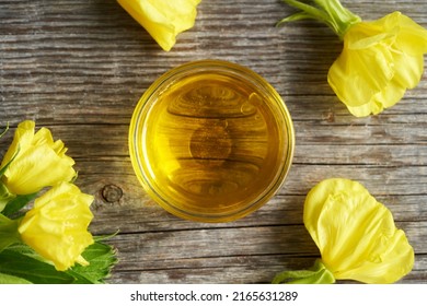 Top View Of A Bowl Of Evening Primrose Oil With Fresh Blooming Plant 