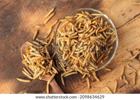 top view a bowl and a spoonful of dry maggot black soldier fly with golden yellow color on a wooden background