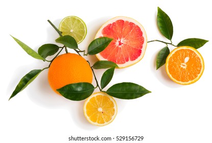 Top View Of Branch Of Citrus Tree With Lime, Lemon, Grapefruit And Orange Fruits Isolated On White Background.