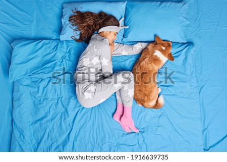 Similar – Image, Stock Photo Tired in bed Animal Pet