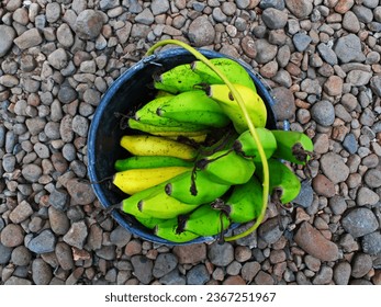 Top view of a bucket of bananas on gravel. - Shutterstock ID 2367251967