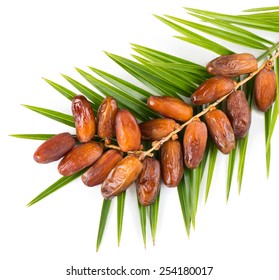 Top view of bunch of date fruits with palm leaf  isolated on white background