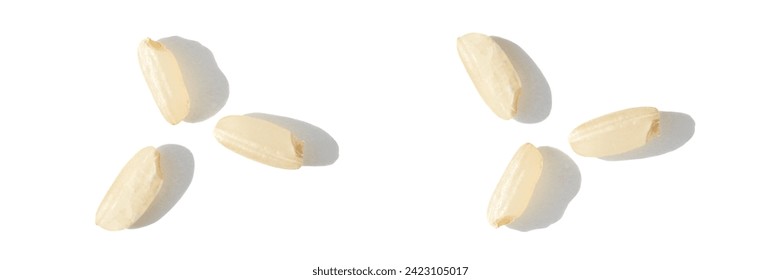 A top view captures the raw beauty of white basmati and brown rice grains. The macro closeup highlights their diverse textures, presenting a wholesome, nutritious food staple. Horizontal banner - Powered by Shutterstock