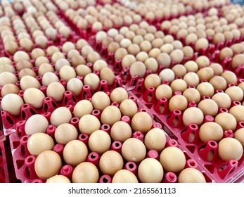 Top view chicken raw eggs of yellow and white recyclable cardboard box, natural pattern and concept of spring and easter, close-up. Brown chicken eggs in the egg tray,fresh raw chicken eggs in package