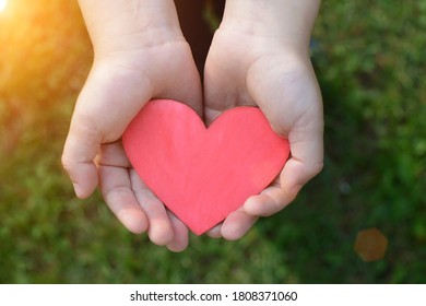 top view, in children's palms is a red heart on a background of green foliage. The idea is pure, sincere, childlike love. Horizontal photo, close-up
