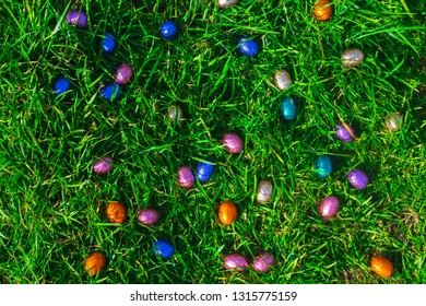 Top view of chocolate Easter Eggs Lie in green grass