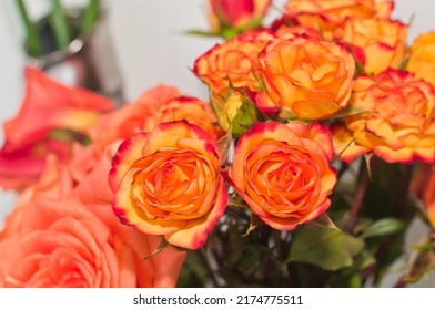 Top View, Close Distance Of Two Long Stem Roses And A Dozen Long Stem, Orange, Baby Roses, In Full Bloom