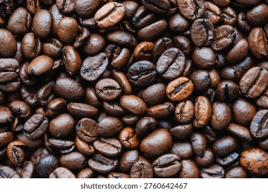 Top view close up of frame filled with roasted coffee beans.
