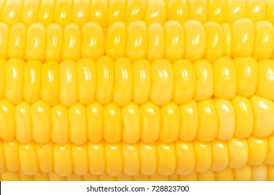 Top View Close Up Photo Image Of Yellow Sweetcorn Grain On Cob, Dense Rows Of Corn Seeds As  Background, Overlay For Art Work