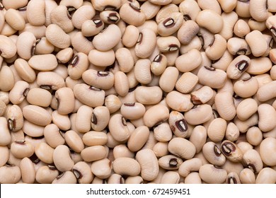 Top View And Close Up Shot Of Navy Bean, Food Background