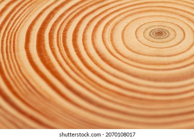 Top View Closeup Of Brown Slice Of Freshly Cut Wood Texture With Dense Concentric Growth Rings