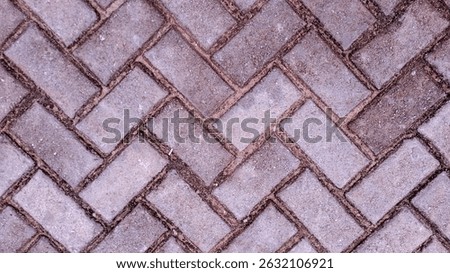 Top view, close-up of a gray herringbone cobblestone sidewalk. The uniform pattern of rectangular paving bricks creates a strong geometric backdrop.