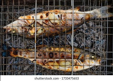 Top View Closeup Sea Bass Fish On A Grill. Grilled Seabass.