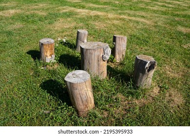 Top View Closeup Of Sitting Wooden Logs Trunk With Chairs And Outside Eating Table In Green Grass Outdoor Camping Meadow