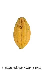 Top View Cocoa Fruit Isolated On White Background.