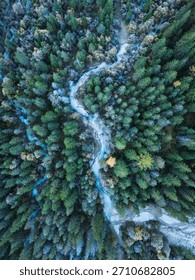 Top view of cold dense conifer forest natural textures with winding glacial river and wooden path in early winter