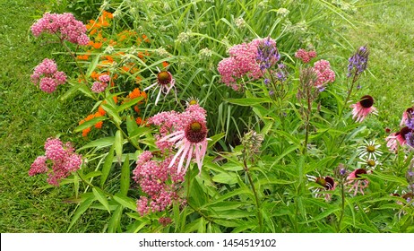 Top View Of Colorful Butterfly Wildflower Garden With A Variety Of Native Plants And Flowers On Front Lawn