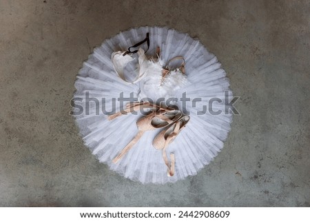 Top view of complete ballet ensemble, with tutu, feathered bodice, and pointe shoes, arranged on stark concrete surface, evoking sense of poised elegance.