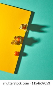 Top view composition with yellow physalis plant on diagonally duotone yellow green background with soft shadows. Modern style.