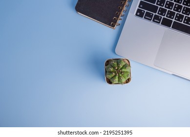 Top view computer cactus and notebook copy space above on background.