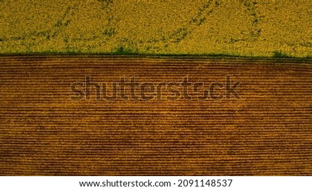 Similar – Image, Stock Photo colourful organic rape field with cornflowers and poppy seeds