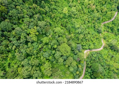 Top View Of Countryside Road Passing Through The Green Forrest And Mountain