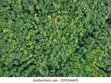 Top View Of Countryside Road Passing Through The Green Forrest And Mountain