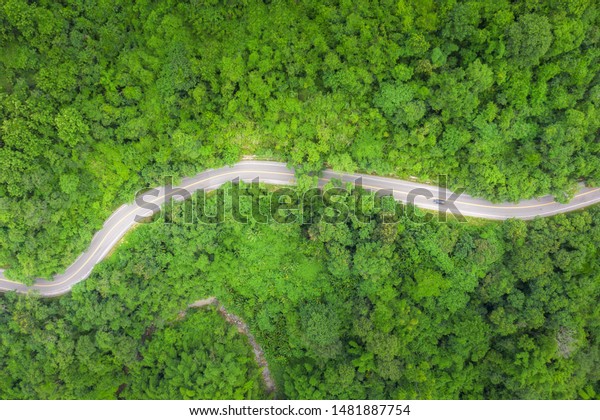 Top view curvy road in the middle of\
green forest. Amazing nature landscape. Aerial view from flying\
drone. summer green trees and road in\
forest.