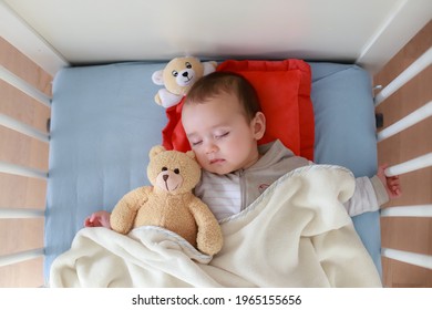 Top View Of Cute Baby Boy Sleep On Pillow With Teddy Bear In Cot. Mixed Race Asian-German Infant Sleeping In Crib With Blanket.